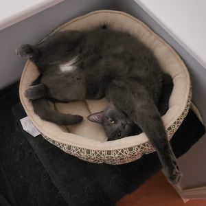 Meet your Posher, Katrin